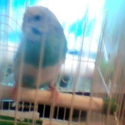 Profile Picture of Robert Grigorian (@grigorian_apo) on Twitter