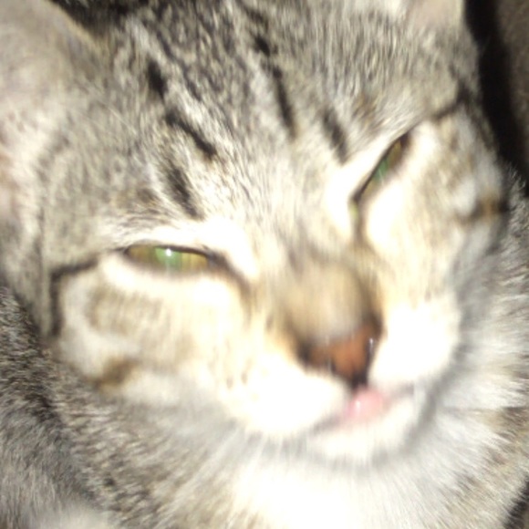 Profile Picture of Adrian Apodaca (@adrian57556) on Poshmark