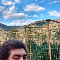 Profile Picture of Dominic Tocco (@dominic-tocco) on Quora