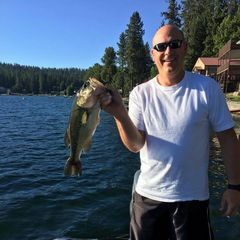 Adam Molenda - Tiktok Profile Picture of Adam Molenda (@bobkniwledge) on Tiktok