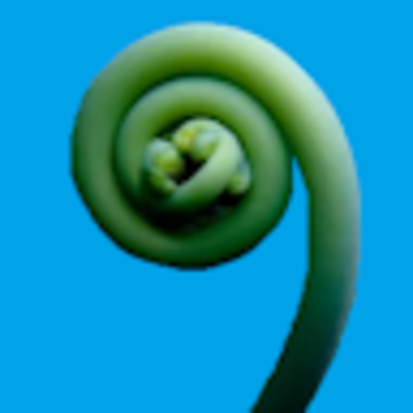 Rachel Gerstner - Poshmark Profile Picture of Rachel Gerstner (@rlgerstner) on Poshmark