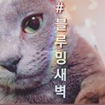 Profile Picture of 블루밍새벽 (@blooming_dawn_) on Instagram