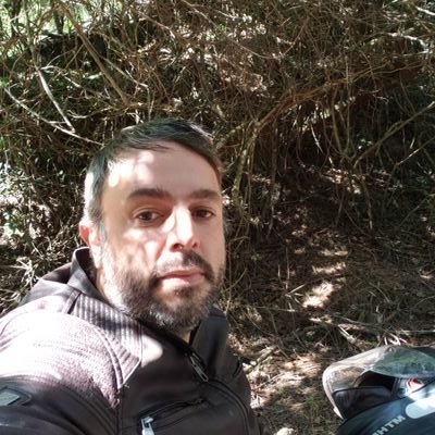 Profile Picture of André  Anjos (@HamelinThePiper) on Twitter