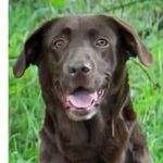 Profile Picture of Andrew Stoker (@andrew.stoker.7773) on Instagram