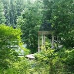 Profile Picture of Allison Arnett Gillum (@gillumallison) on Instagram