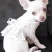 Profile Picture of Ada Nieves (@anieves913) on Pinterest