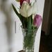 Profile Picture of Bianca Lai (@biancalai47) on Pinterest