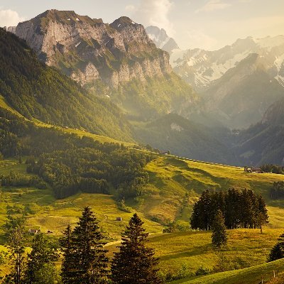 Profile Picture of Damien Chung (@DamienChung5) on Twitter