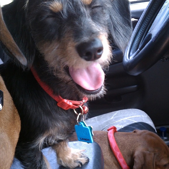 Profile Picture of Myrna Osuna (@halo9119) on Poshmark