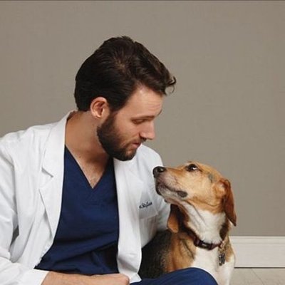 Profile Photo of Dr. Andy DeStefano (@DeStefanoDVM) on Twitter