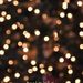 Profile Picture of Amy Knaby (@amyknaby) on Pinterest