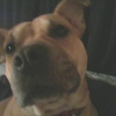 Profile Picture of Brandy Hansen (@CuzTysonSaid) on Twitter
