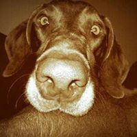 Profile Picture of William Nusbaum (@scottnsthinc) on Pinterest