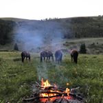 Profile Picture of paul j ream (@silverspurs67) on Instagram