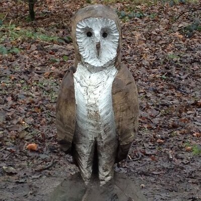 Profile Picture of Peter Hopkinson (@PeterHopkinson3) on Twitter