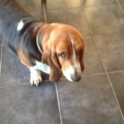 Profile Picture of Kira Stringwell (sj) (@Kirastring18) on Twitter