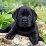 Profile Picture of Ткачук Давид (@tkachuk4379) on Instagram