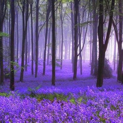 Barbara Chapman - Twitter Profile Picture of Barbara Chapman (@9678Barbara) on Twitter