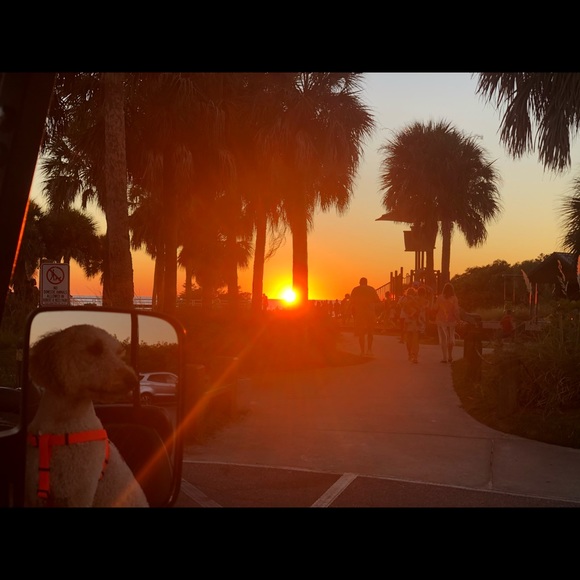 Profile Picture of Kylee Novicki (@kyleenovicki) on Poshmark