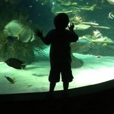 Profile Picture of Anna Margaret Jacobs (@anna_jac) on Twitter