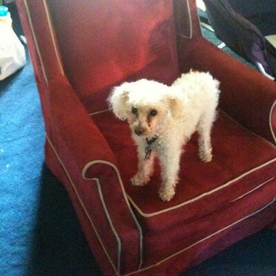 Profile Picture of Jacob Harrington (@RecycleUrPets) on Twitter