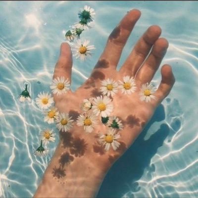 Profile Picture of Rand (@Honey_rno) on Twitter