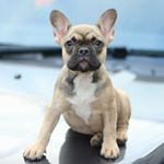 Paul Mcilroy - Instagram Profile Picture of Paul Mcilroy (@pauljmcilroy) on Instagram