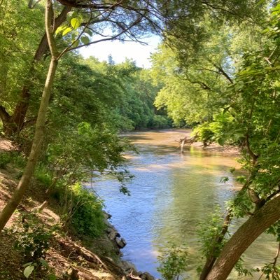 Profile Picture of Michael Bean (@michael__bean) on Twitter