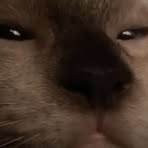 Profile Picture of Glenn Collin Aven (@glenn.collin.aven) on Facebook