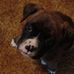 Profile Picture of David Heishman (@david.heishman.71) on Facebook