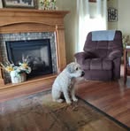 Profile Picture of Jerry Neubauer (@jerry.neubauer.2025) on Facebook