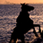 Profile Picture of Afnan Mohammed . .❤ (@afnan mohammed . .❤) on Flickr