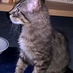 Profile Picture of Christopher Mohr (@dia7mo) on Instagram