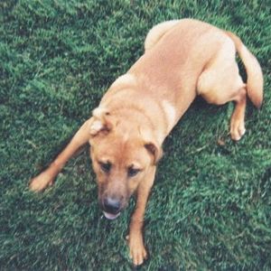 Profile Picture of Carmen Nichols (@carmenlynnette) on Myspace