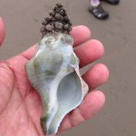 Profile Picture of Kary Kramer (@kary_benjamin) on Instagram