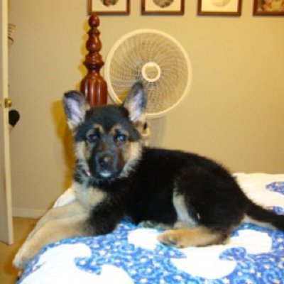 Profile Picture of David Hackel (@david_hackel) on Twitter