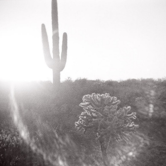 Elin Barausky - Poshmark Profile Picture of Elin Barausky (@elinalyssa) on Poshmark