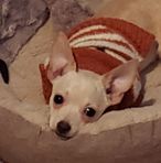 Profile Picture of Dawn Barton (@dawn.barton.925) on Facebook