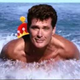 Profile Picture of Minhasselhoff (@MinHasselhoff) on Twitter