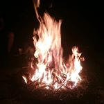 Alexander Höllerer - Instagram Profile Picture of Alexander Höllerer (@alexhoellerer) on Instagram