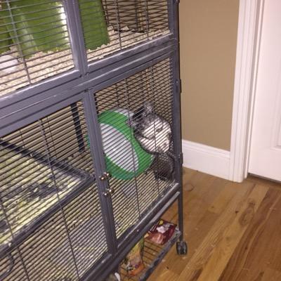 Darin Thornton - Twitter Profile Picture of Darin Thornton (@cheechthechinch) on Twitter