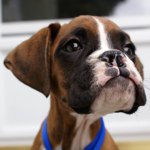 Sam Steiger - Instagram Profile Picture of Sam Steiger (@samsteiger) on Instagram