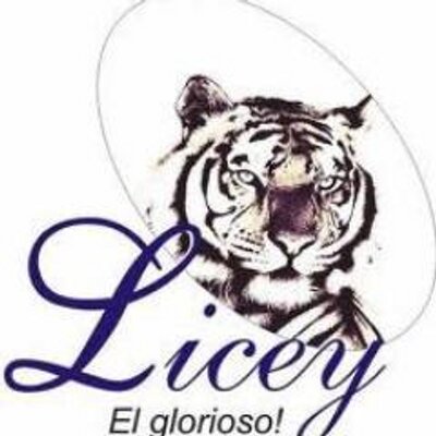 Profile Picture of Omar Tavarez (@OmarTavarez20) on Twitter