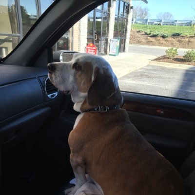 Randy Gaebler - Twitter Profile Picture of Randy Gaebler (@gabe30randy) on Twitter