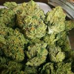 Profile Picture of Scott Morgan (@scottmorgan590) on Instagram