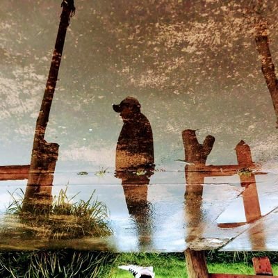 Profile Picture of Adán Avilés (@adan_bob) on Twitter