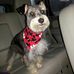 Profile Picture of Iris Raines (@iris.raines.7) on Facebook