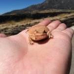 Profile Picture of Brian Jensen (@firepilot) on Instagram