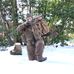 Profile Picture of Michael Clarence Kuipers (@michael.kuipers.35) on Facebook