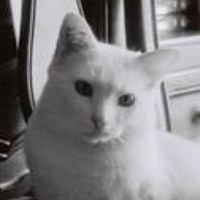 Michèle Deschamps - Quora Profile Picture of Michèle Deschamps (@michèle-deschamps) on Quora